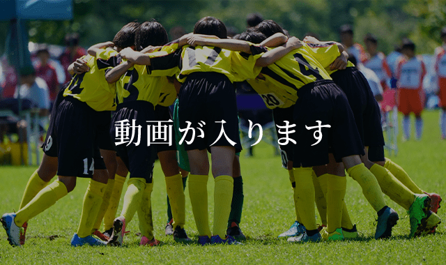 動画が入ります